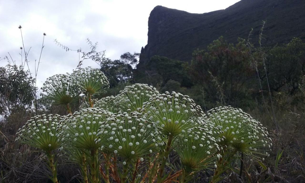 Do Alto Da Montanha Pousada فالي دو كاباو المظهر الخارجي الصورة